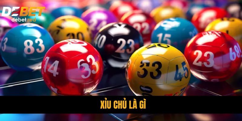 Xỉu Chủ Là Gì? DEBET